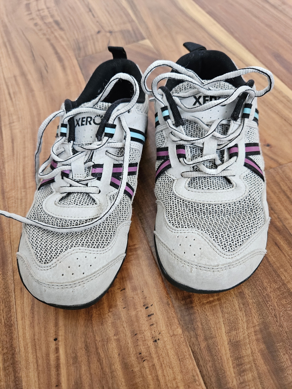 Xero Light Gray Prio's with Pink & Teal Accents